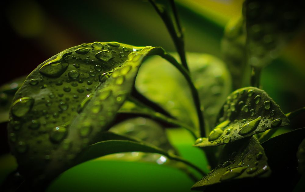 Photograph by Ольга Чазова