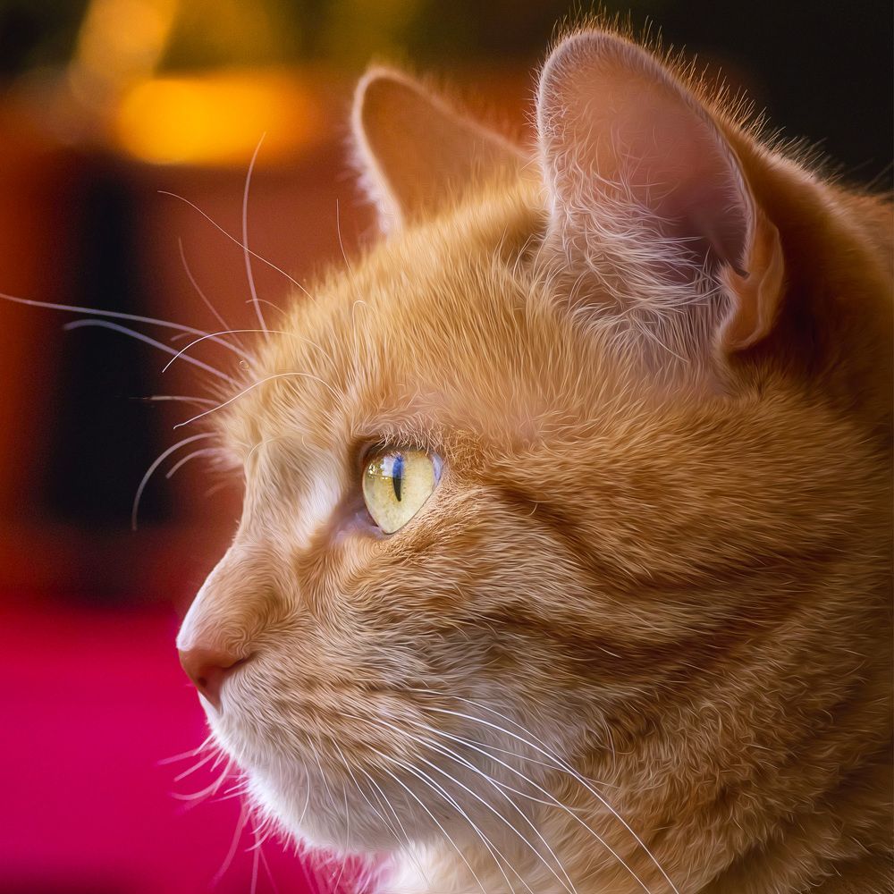 Фотография автора Igor Lukin