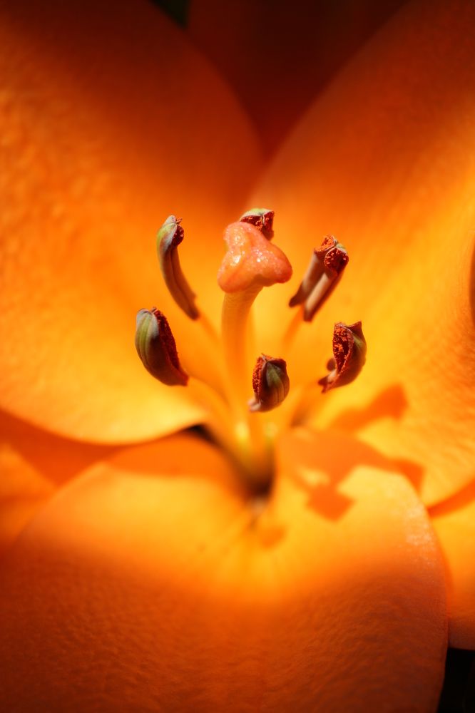 Photograph by Nadzeya