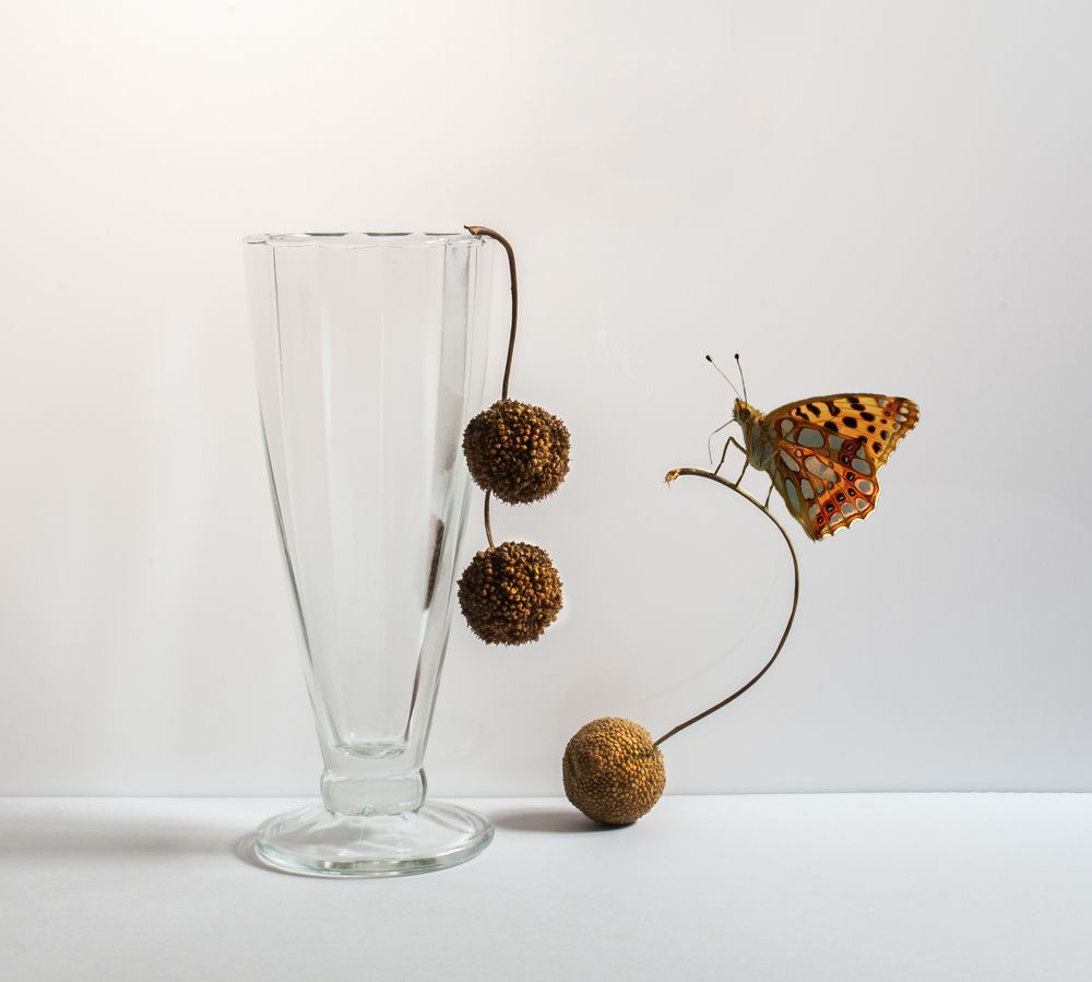 Photograph by Людмила Прокофьева