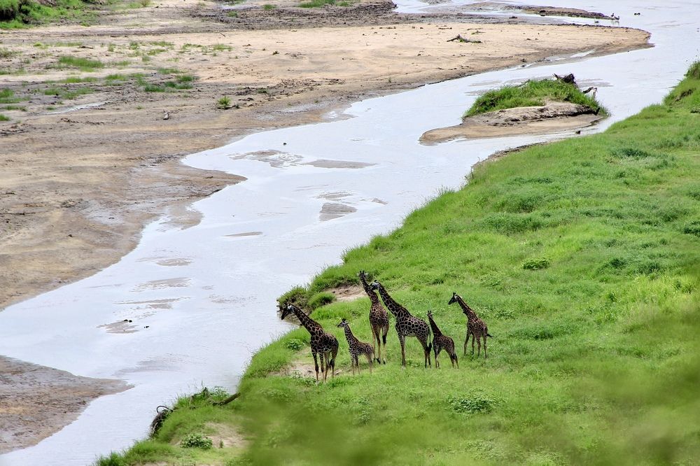Photograph by Олег Банковский