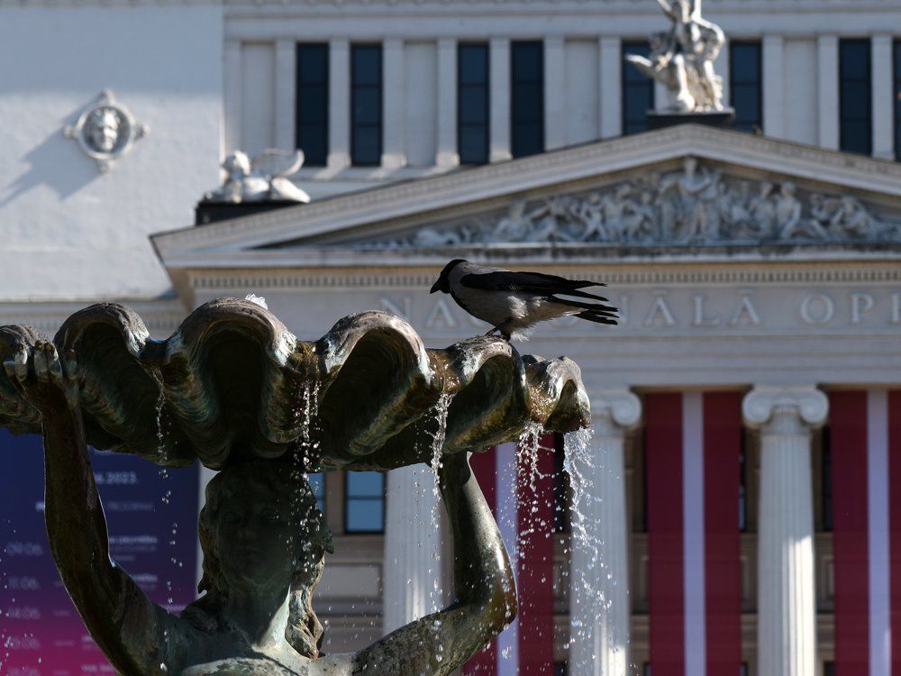 Когда жара... / When it's hot...