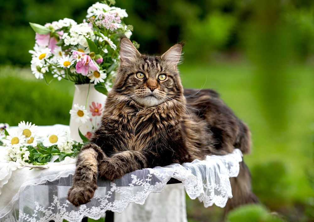 Photograph by NADEZHDA PELYMSKAIA