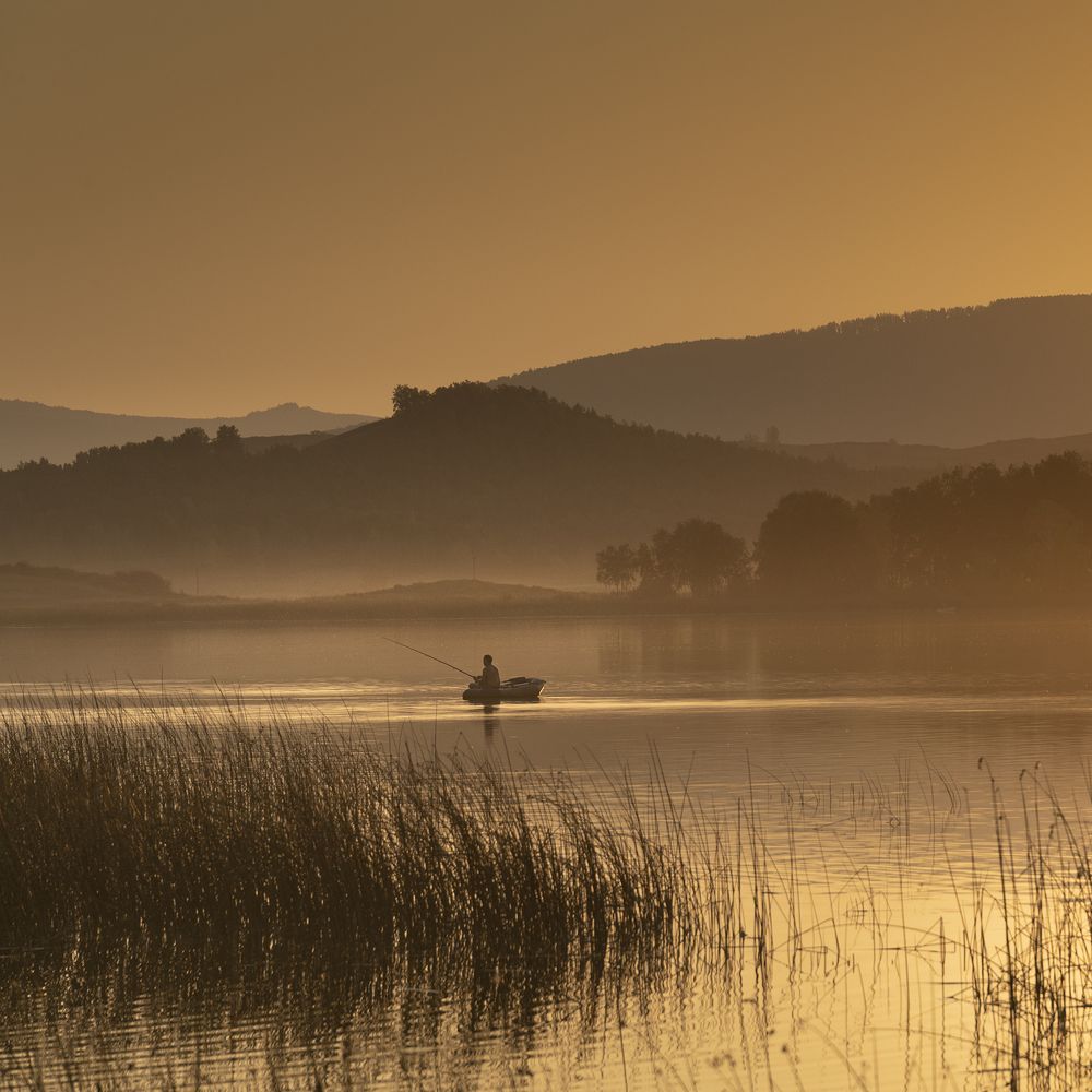 Photograph by Бирюкова Татьяна