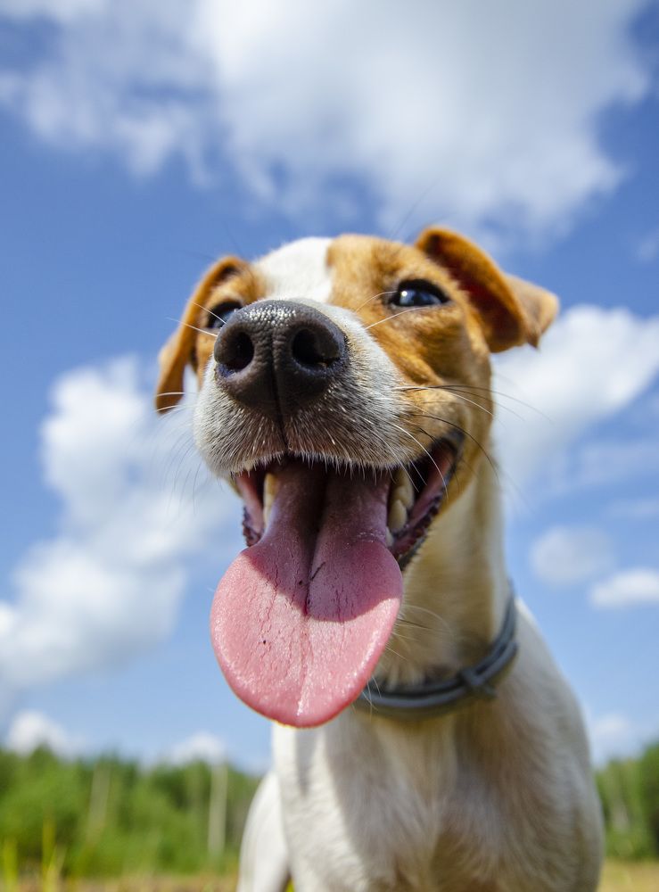 Photograph by Роман Кудрявцев