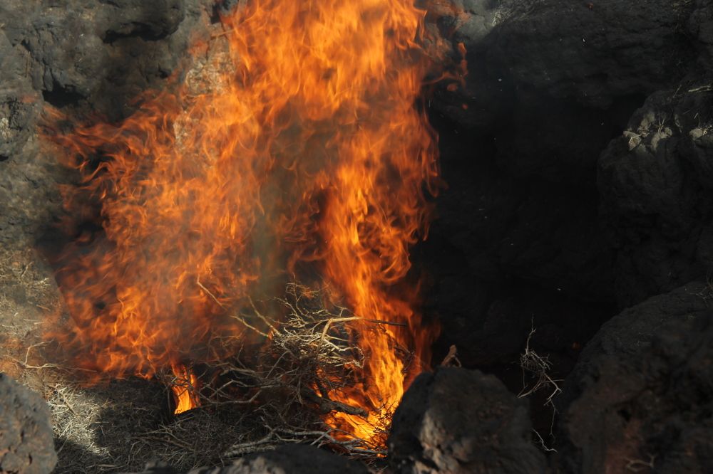 Photograph by Nadzeya