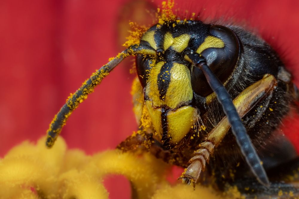 Photograph by Николай Фонарёв