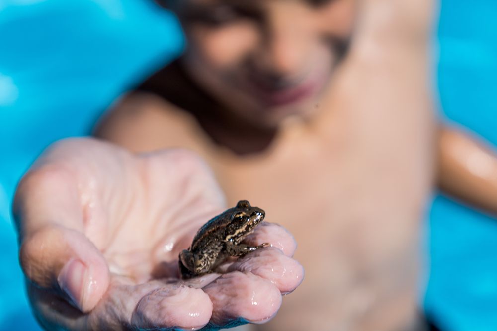 Photograph by Роман Саламатин