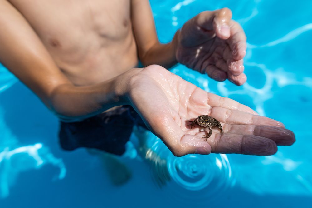 Photograph by Роман Саламатин