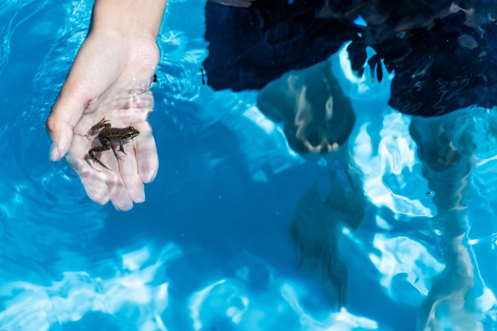 Photograph by Роман Саламатин