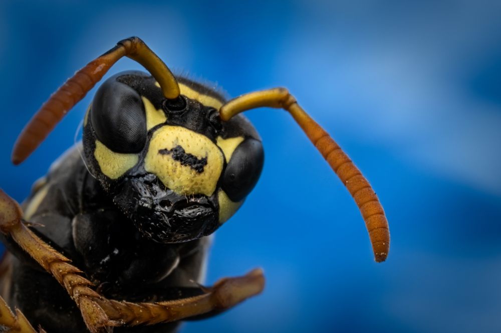 Photograph by Николай Фонарёв