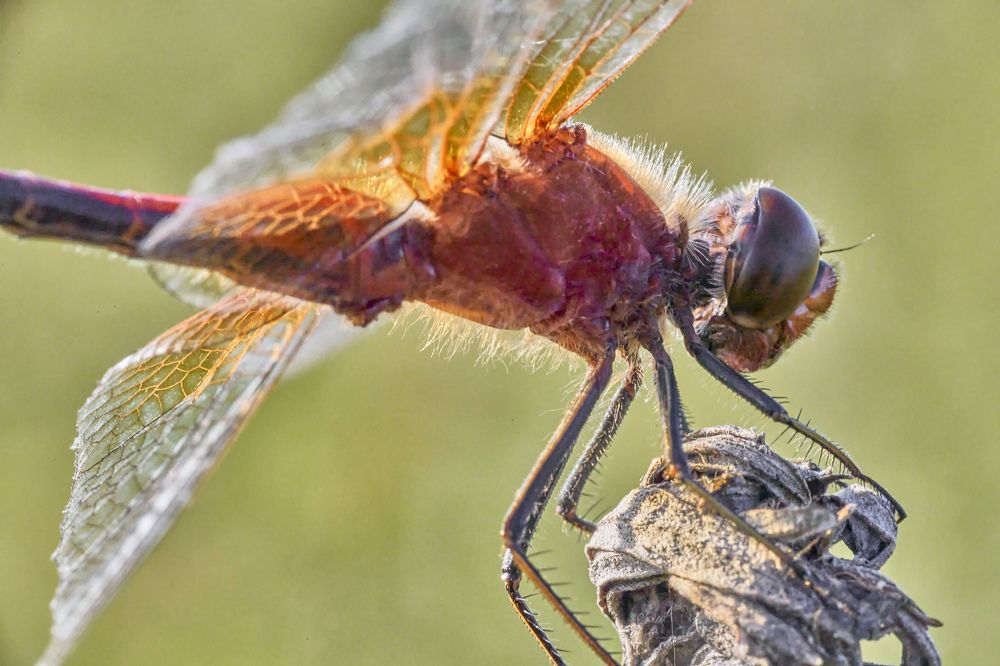 Photograph by Игорь Зиновьев