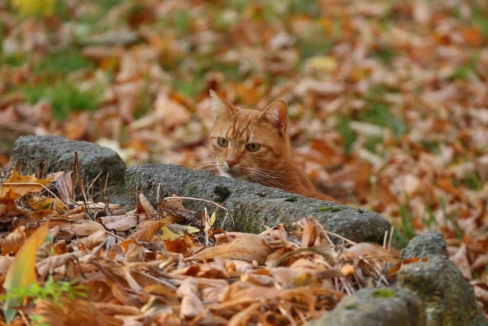 Photograph by Станислав Вершинин
