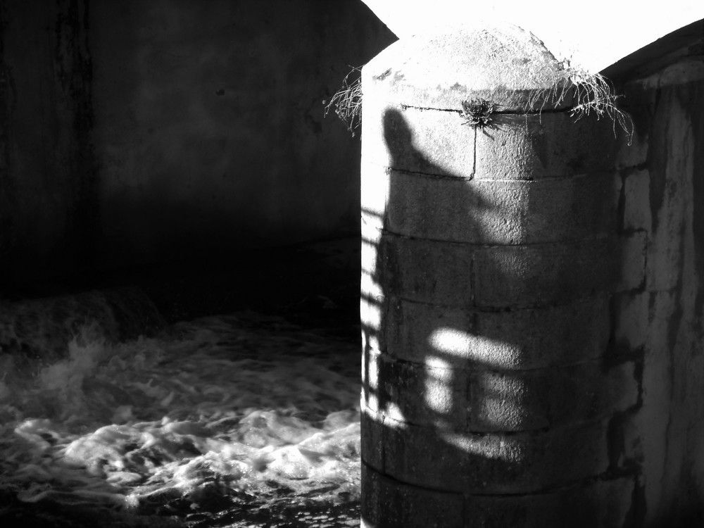 Фотография автора Nicole Thévenon