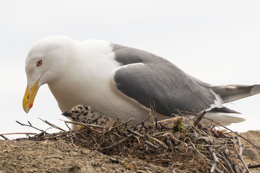 Photograph by Наталья Королева