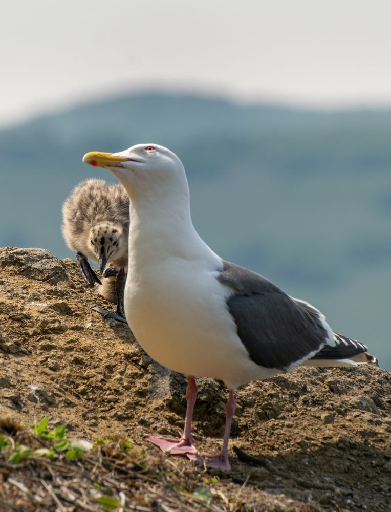 Photograph by Наталья Королева