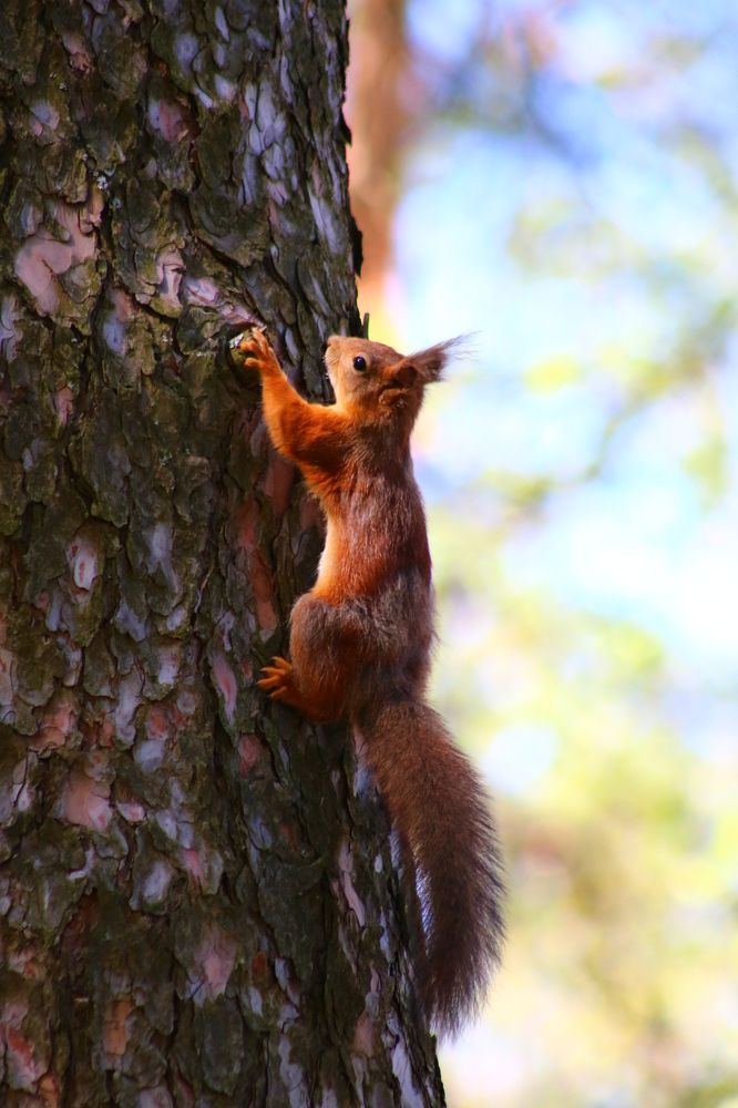 Photograph by Светлана Шуткова