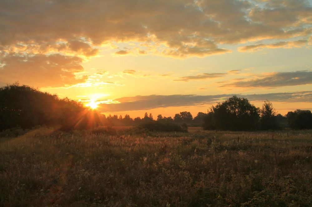 Photograph by Виктория Хмара