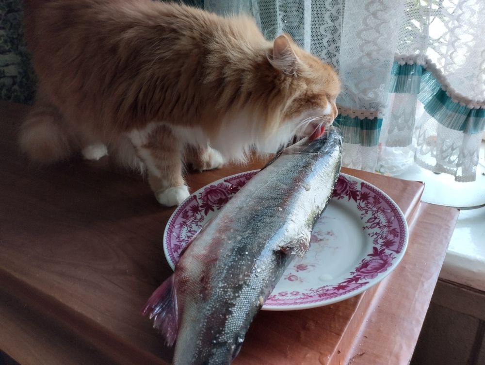 Photograph by Надежда Болтунова