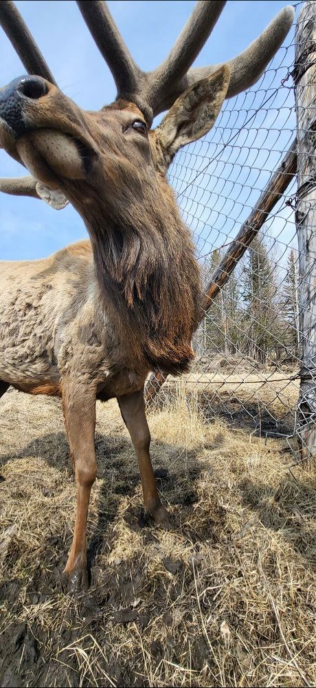Photograph by Надежда Панкратова