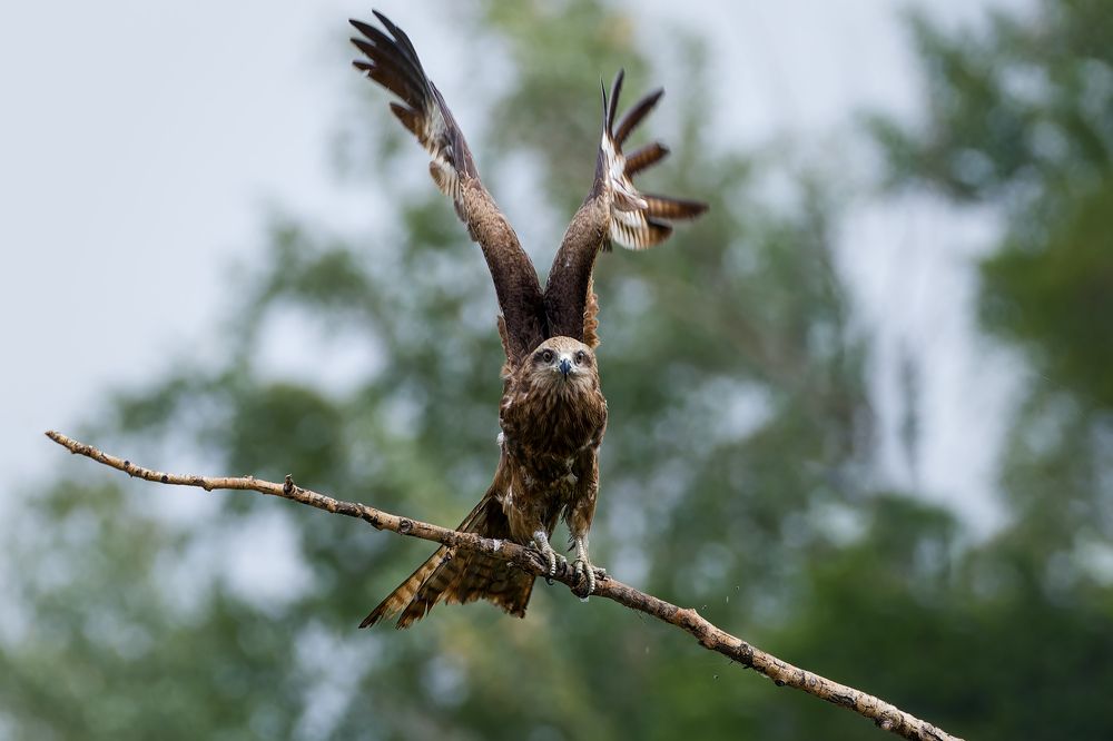 Photograph by Александр Перегудов