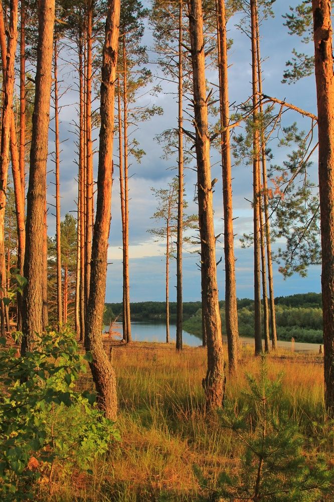 Photograph by Виктория Хмара