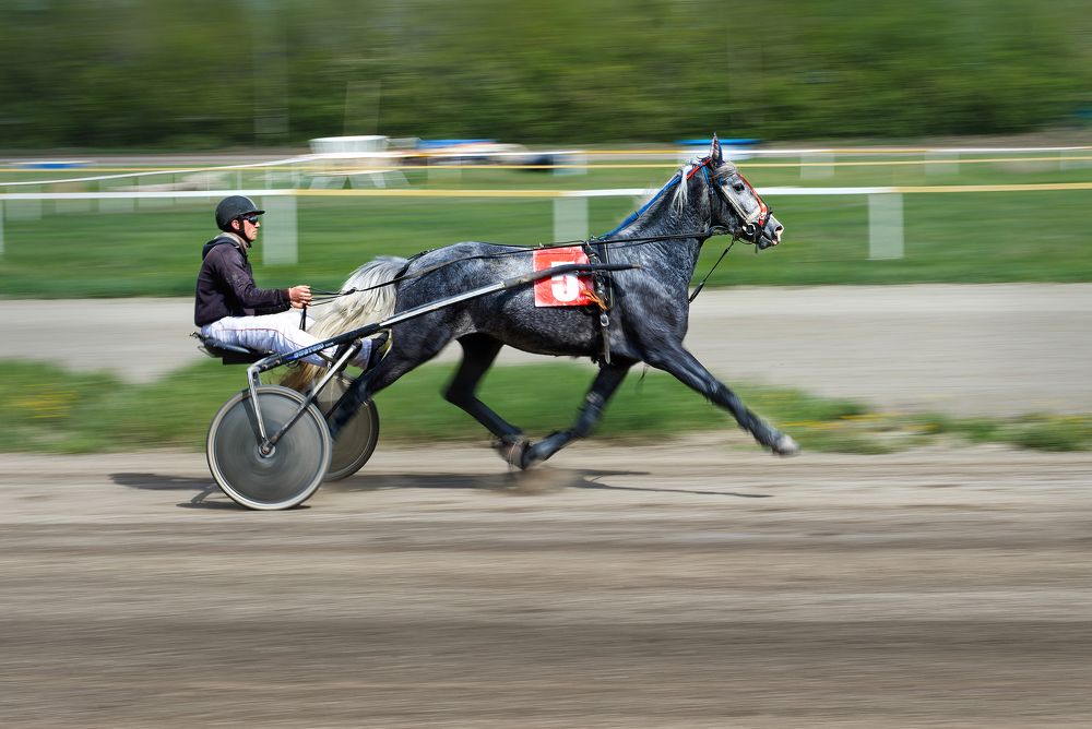 Photograph by Александр Перегудов