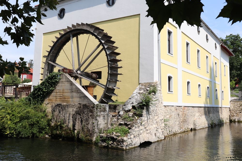 Photograph by Füleki Elvíra