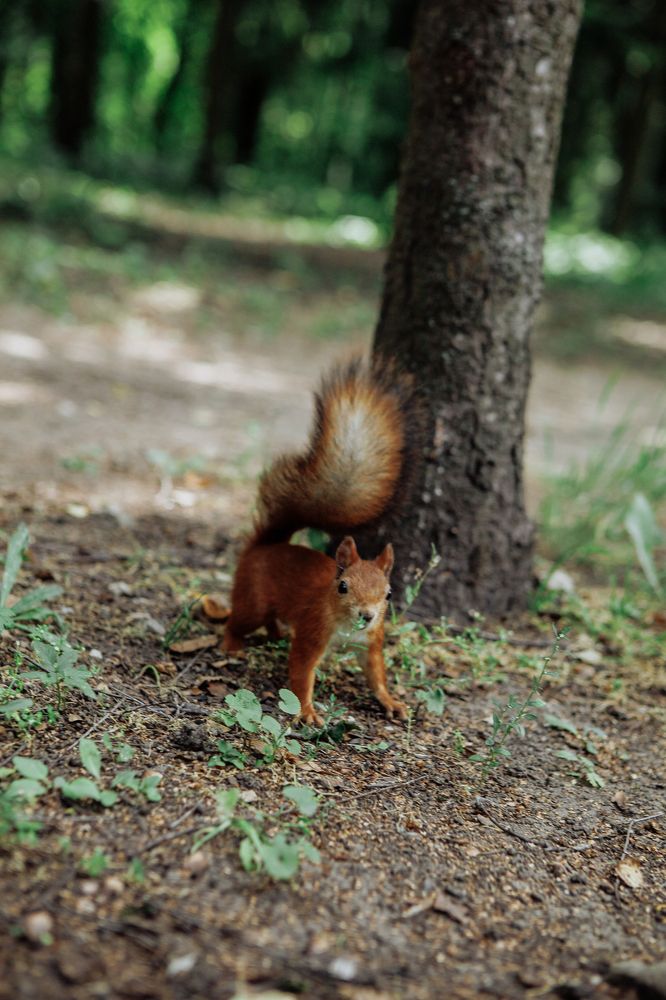 Фотография автора Евгений Величко