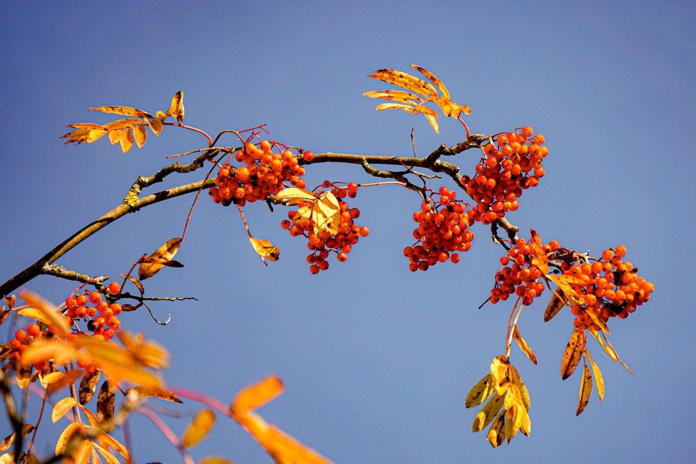 Photograph by Алфия Бугакова