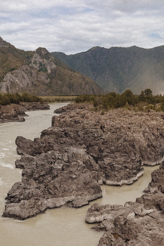 Photograph by Nadezhda Potapova