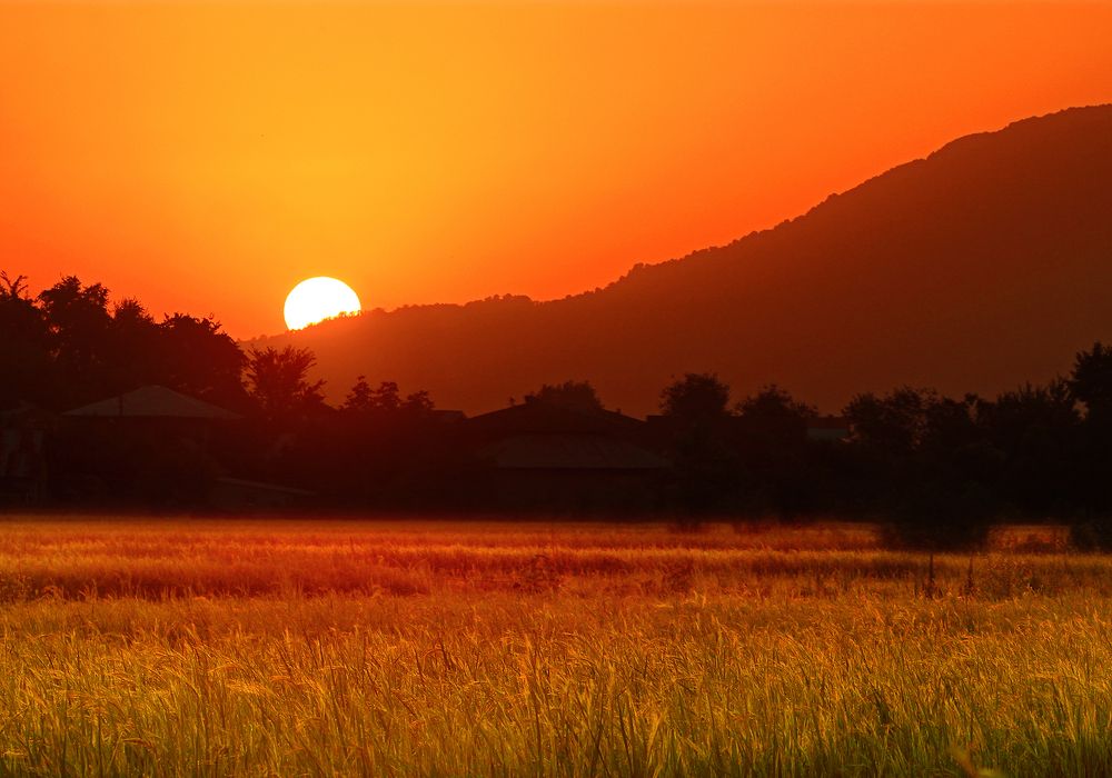 Photograph by 