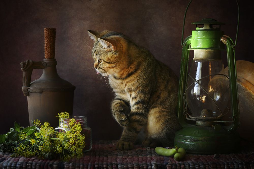 Photograph by Ирина Ефимова