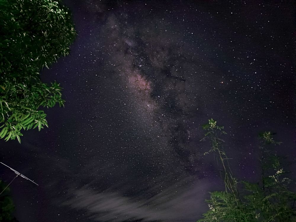 Photograph by Mark Acal