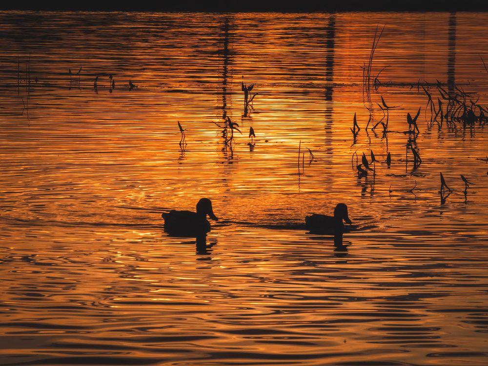 Photograph by Konstantin Martynov