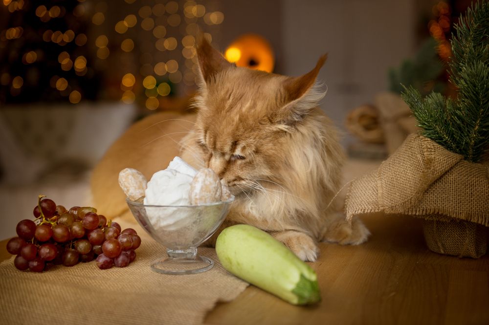 Photograph by Галина Еремеева