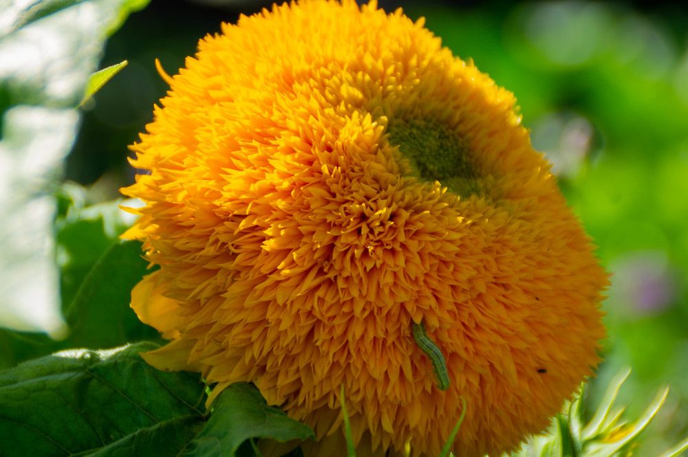 Photograph by Дубровин Николай