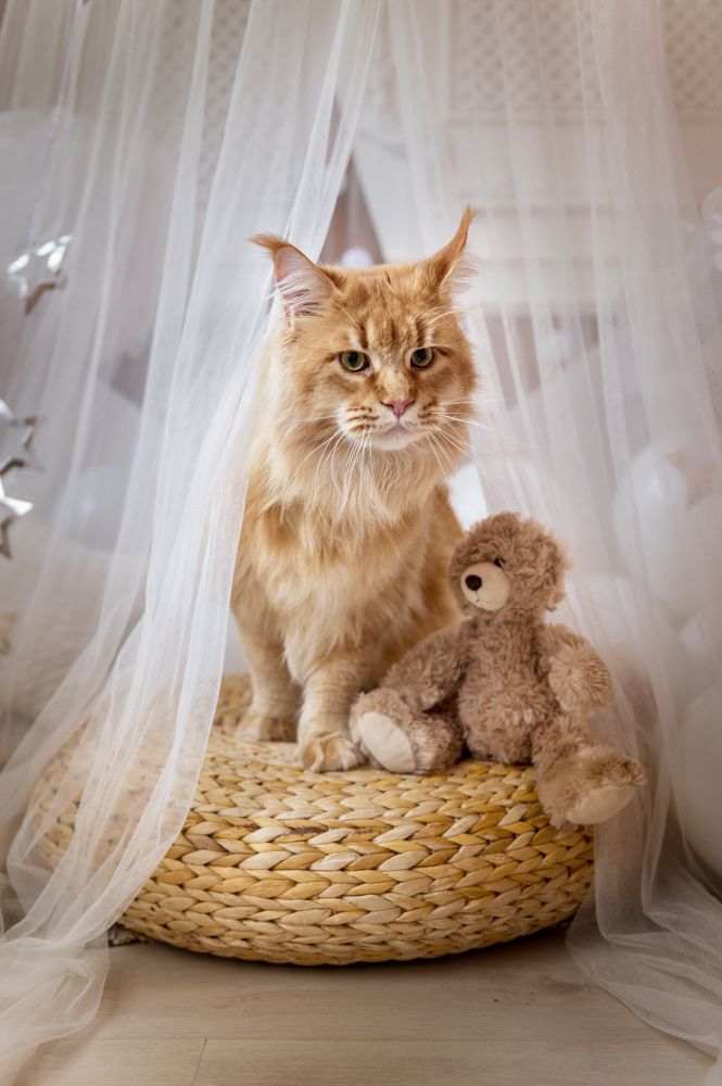 Photograph by Галина Еремеева