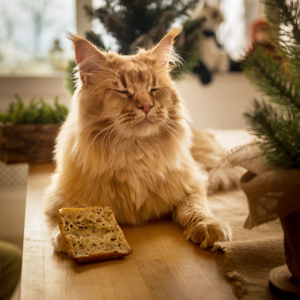 Photograph by Галина Еремеева