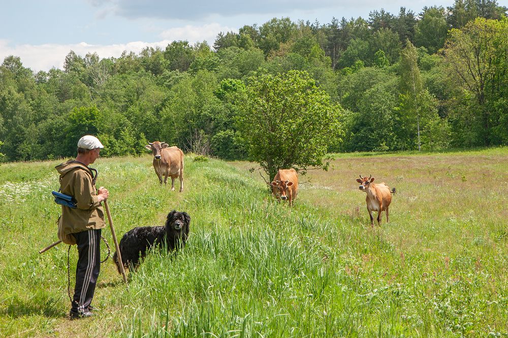 Photograph by Юрий Спасенников