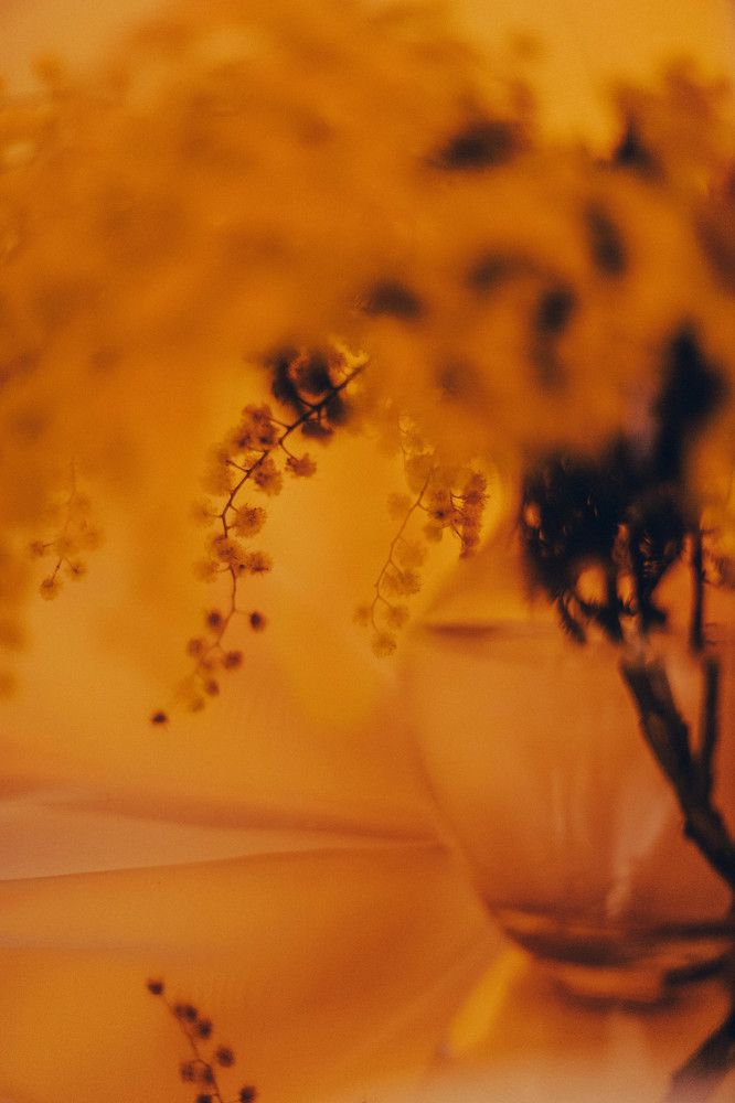 Photograph by Natalya Alekseenko