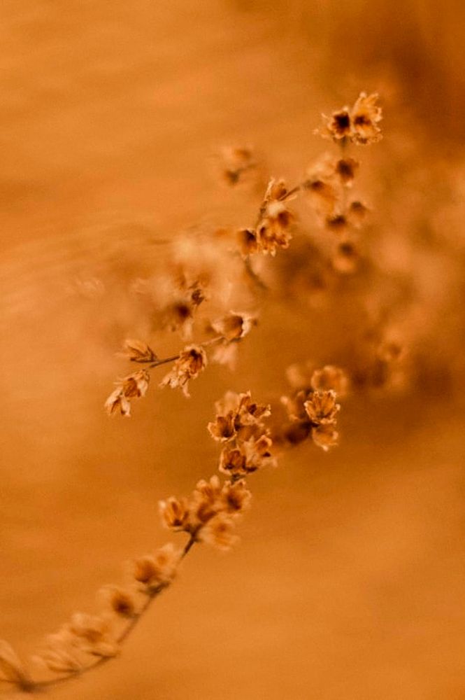 Photograph by Natalya Alekseenko