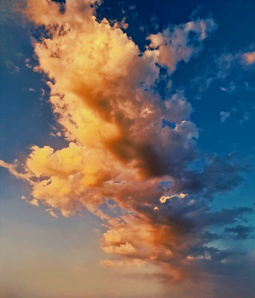 Photograph by Hana Vaseqi