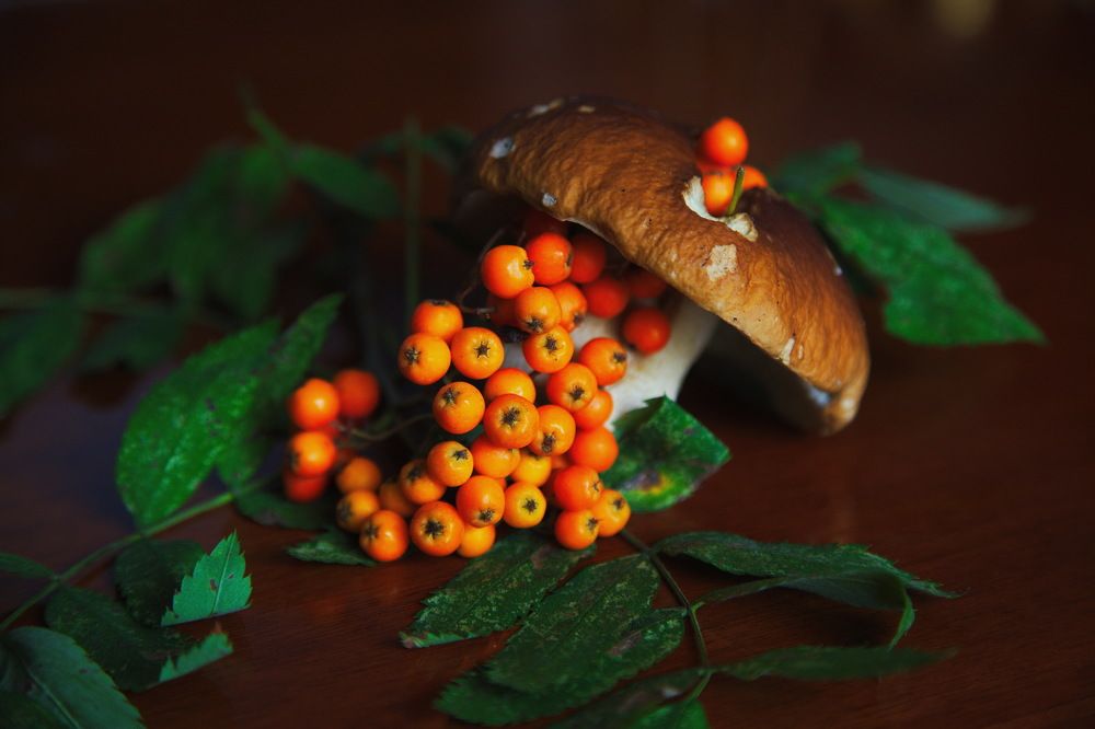 Лесное чудо...!