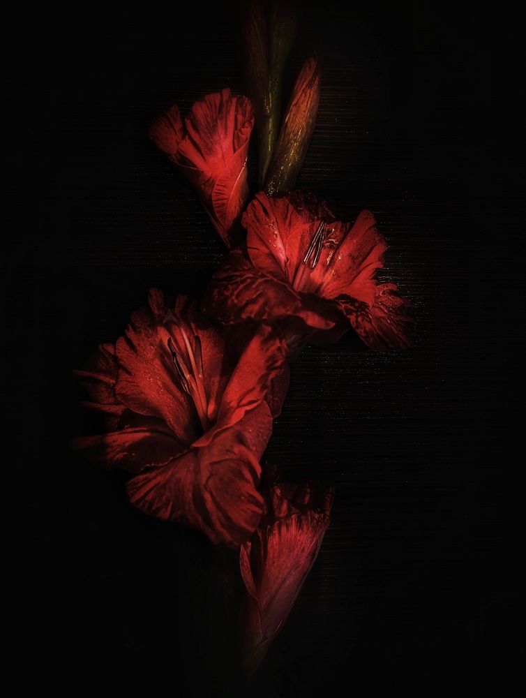 Photograph by Olga Asson