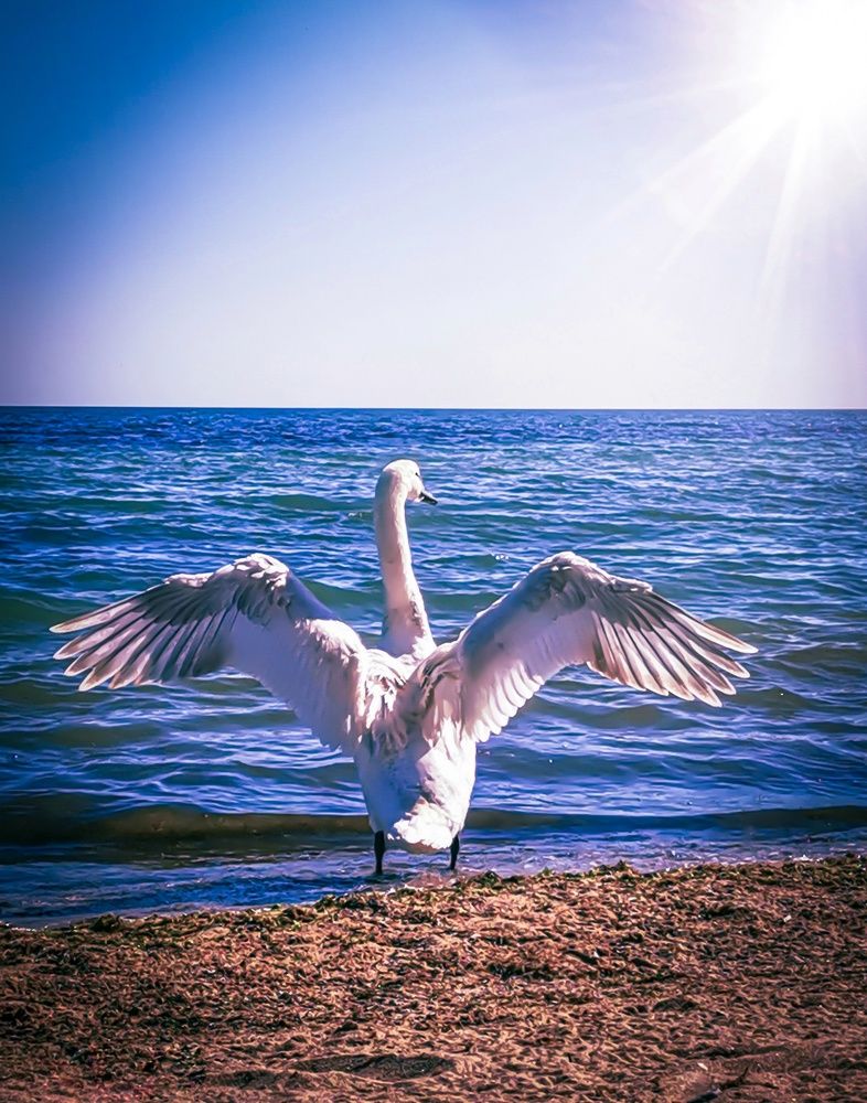 Photograph by Мария Цепилова