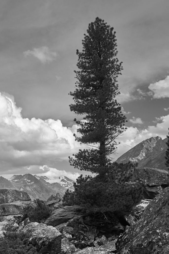 Photo #9436615