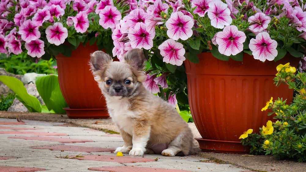 Photograph by Филиппов Олег