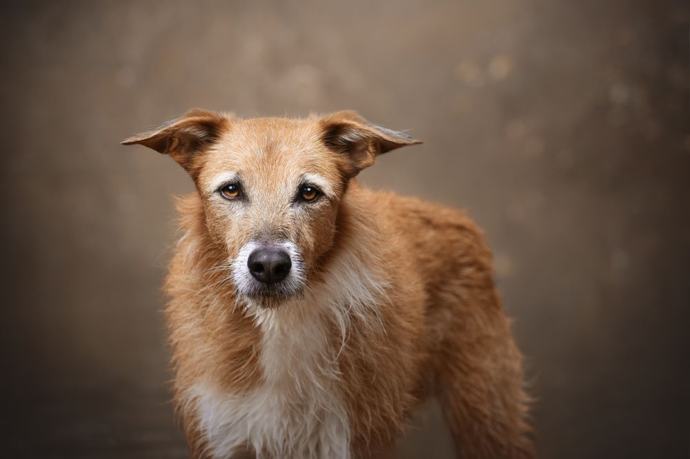 Photograph by leticia pascual garcia