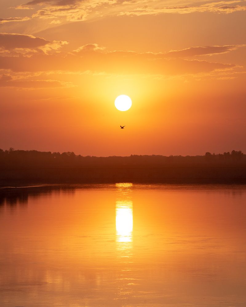 Photograph by Сергей Юрков